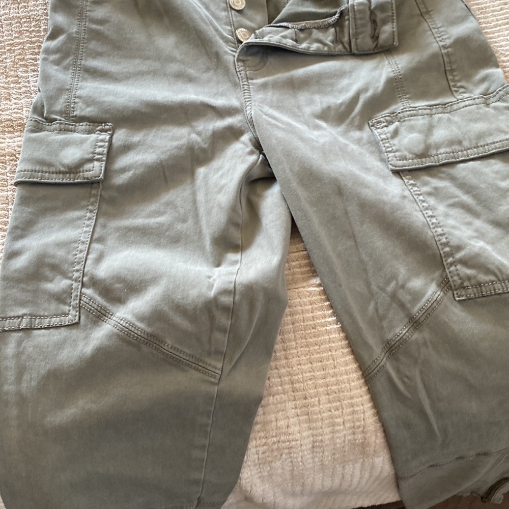 American Eagle Cargo Pants Button Down. Zippers E… - image 4